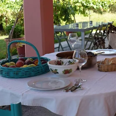 Private Akobara, 2km From Center Vila *