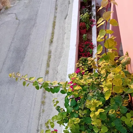 Villa Private Akobara, 2km From Center *