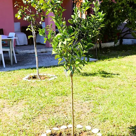 Private Akobara, 2km From Center فيلة